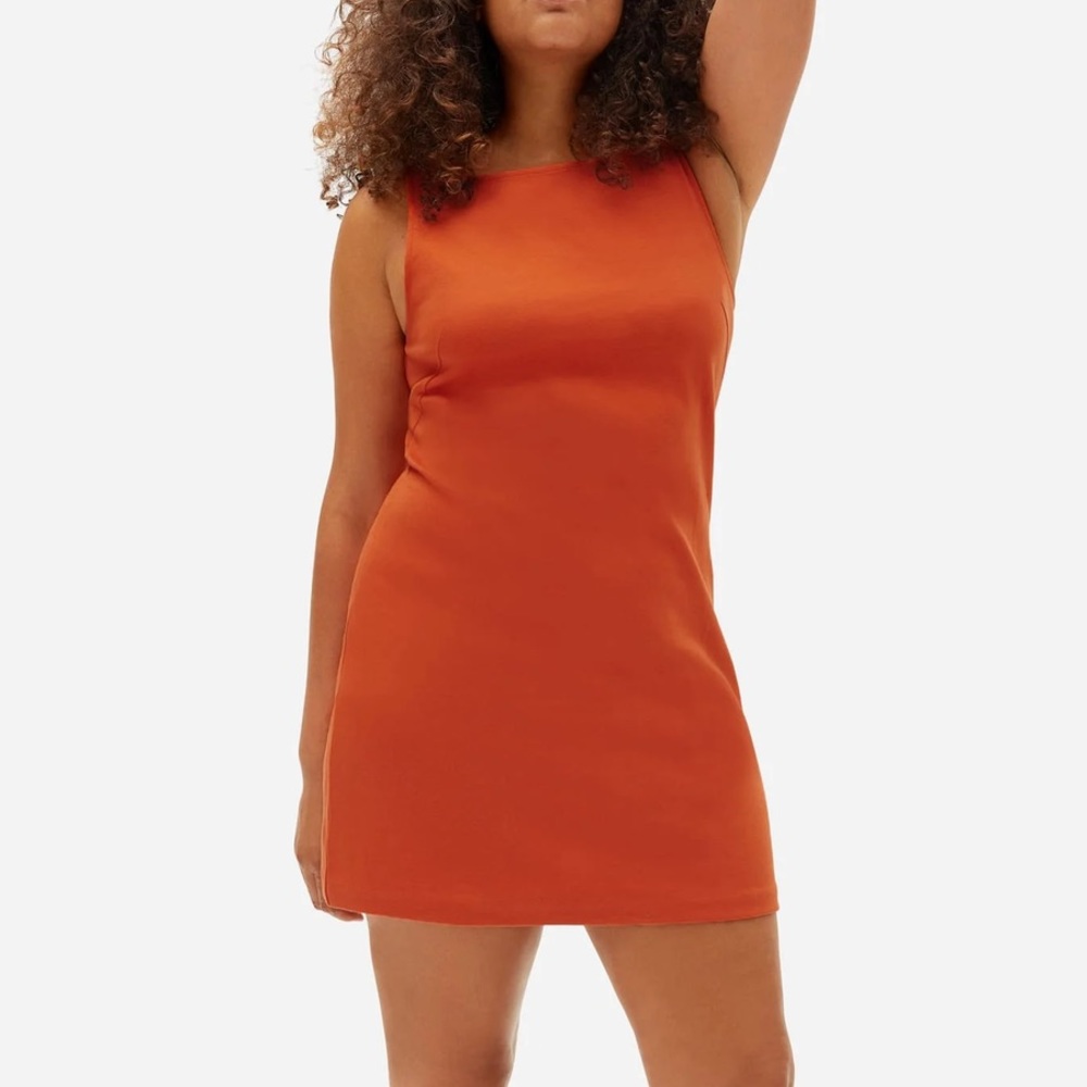 Everlane Party of One Tank Dress